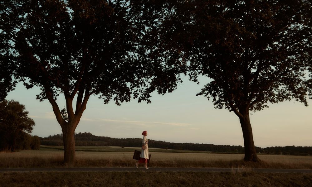 Photograph by Алина Шевченко