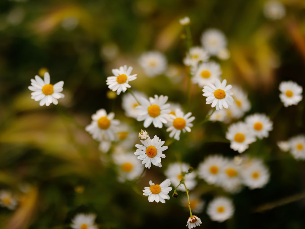 Photograph by Виктория Гисс