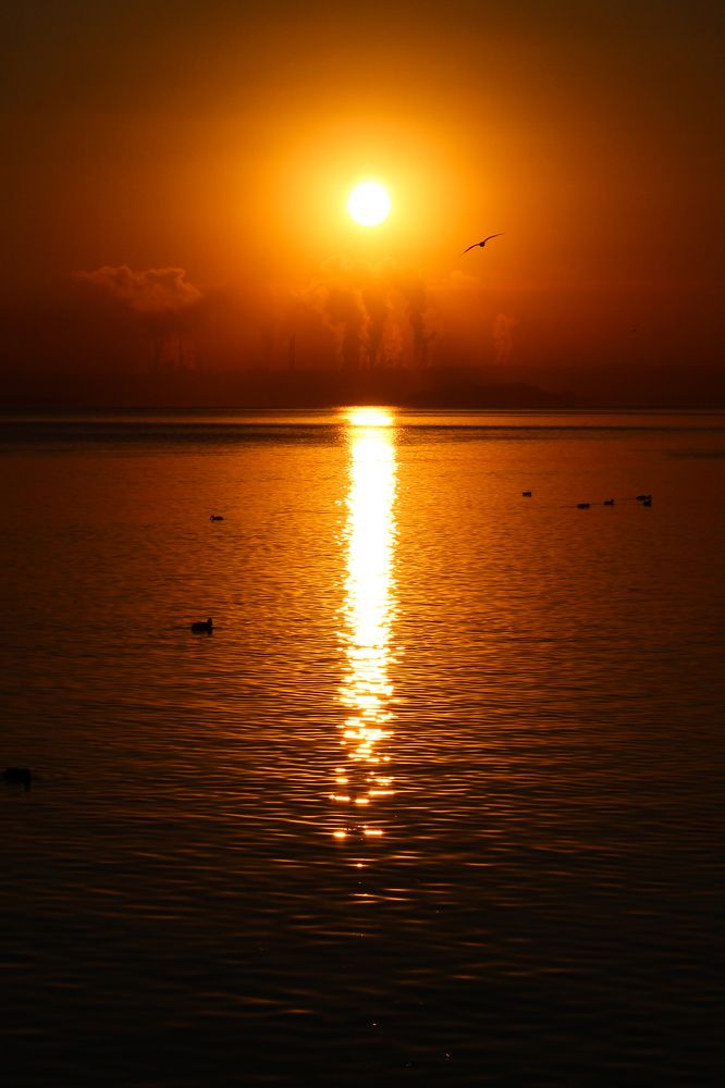 Photograph by Елена Носова