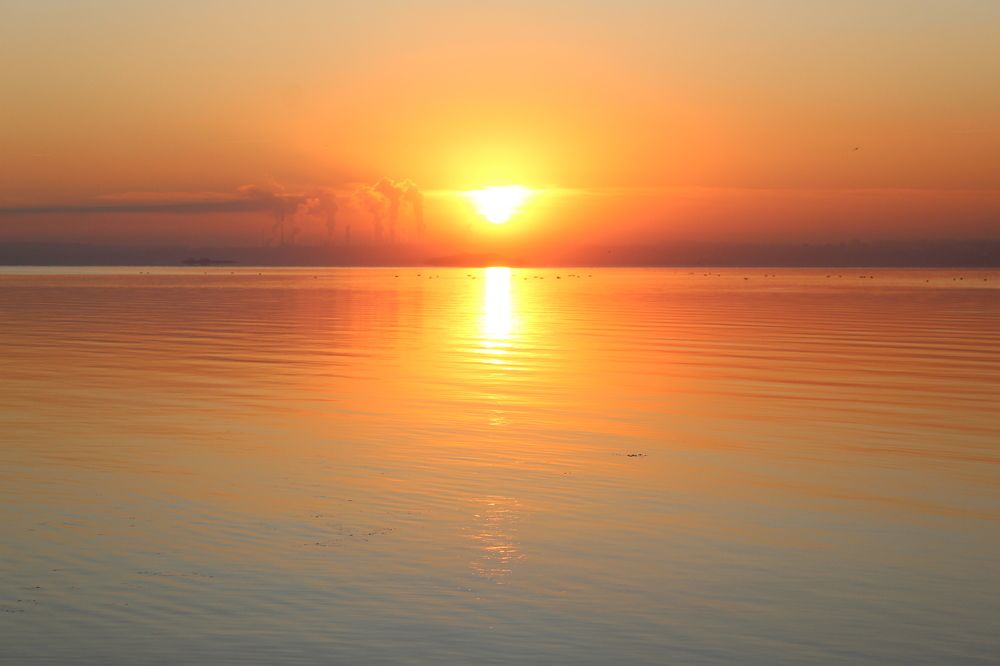 Photograph by Елена Носова