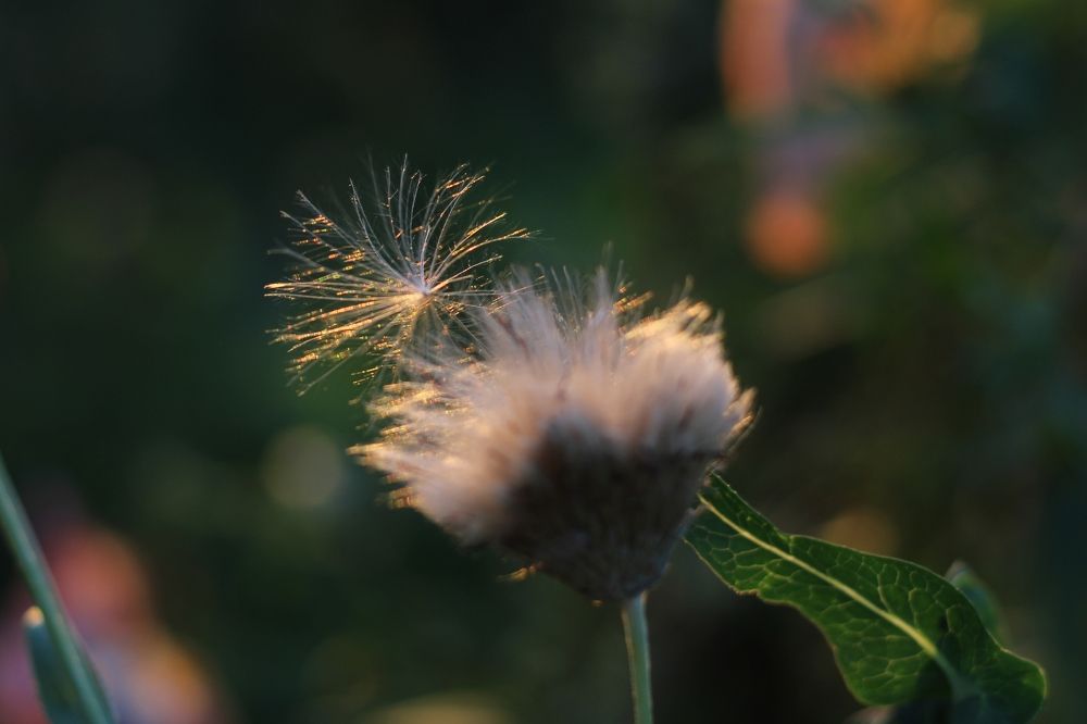 Photograph by Елена Носова