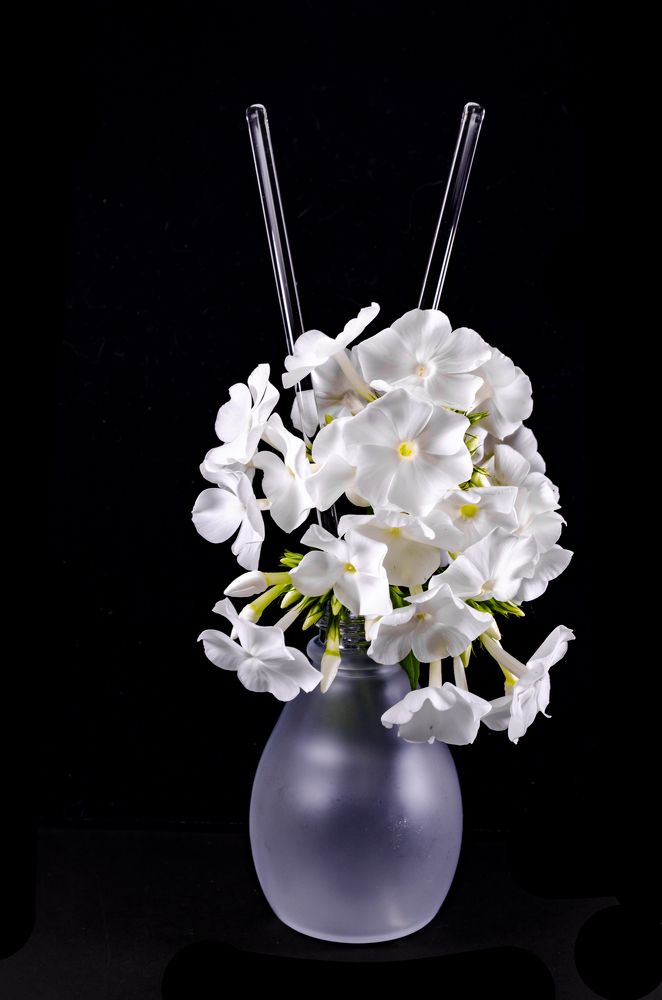 Photograph by Любовь Бусова