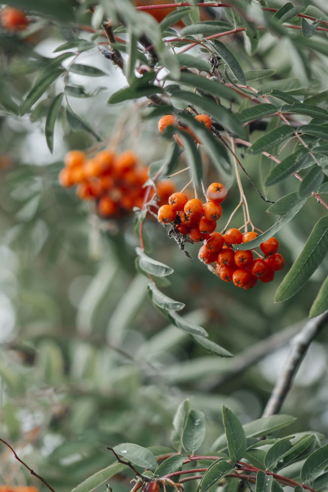 Photograph by Anna Dubinina