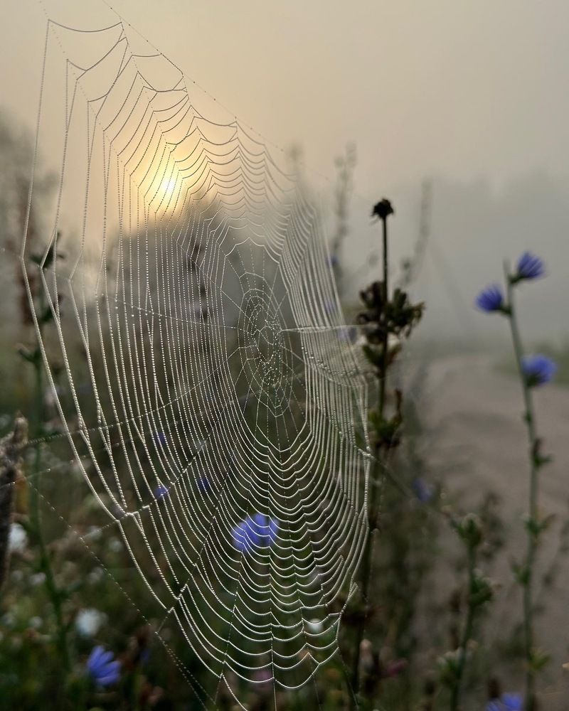 Photograph by Лариса Акинчиц