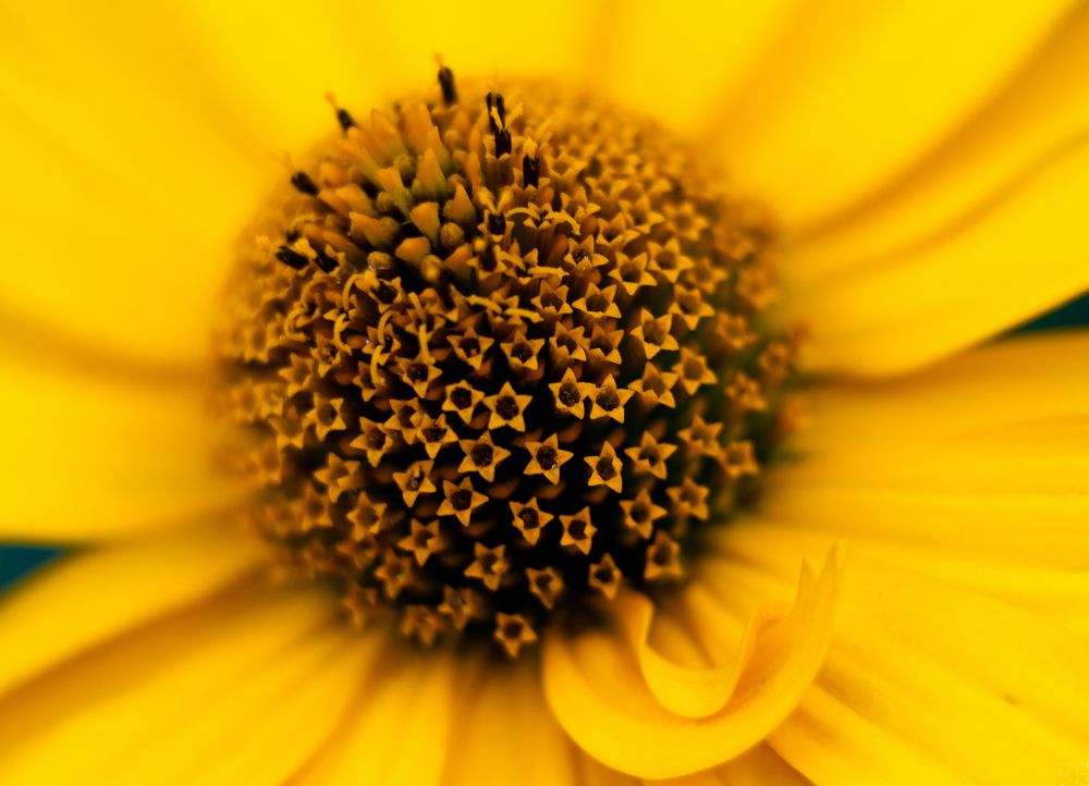 Фотография автора Владимир Ступинский