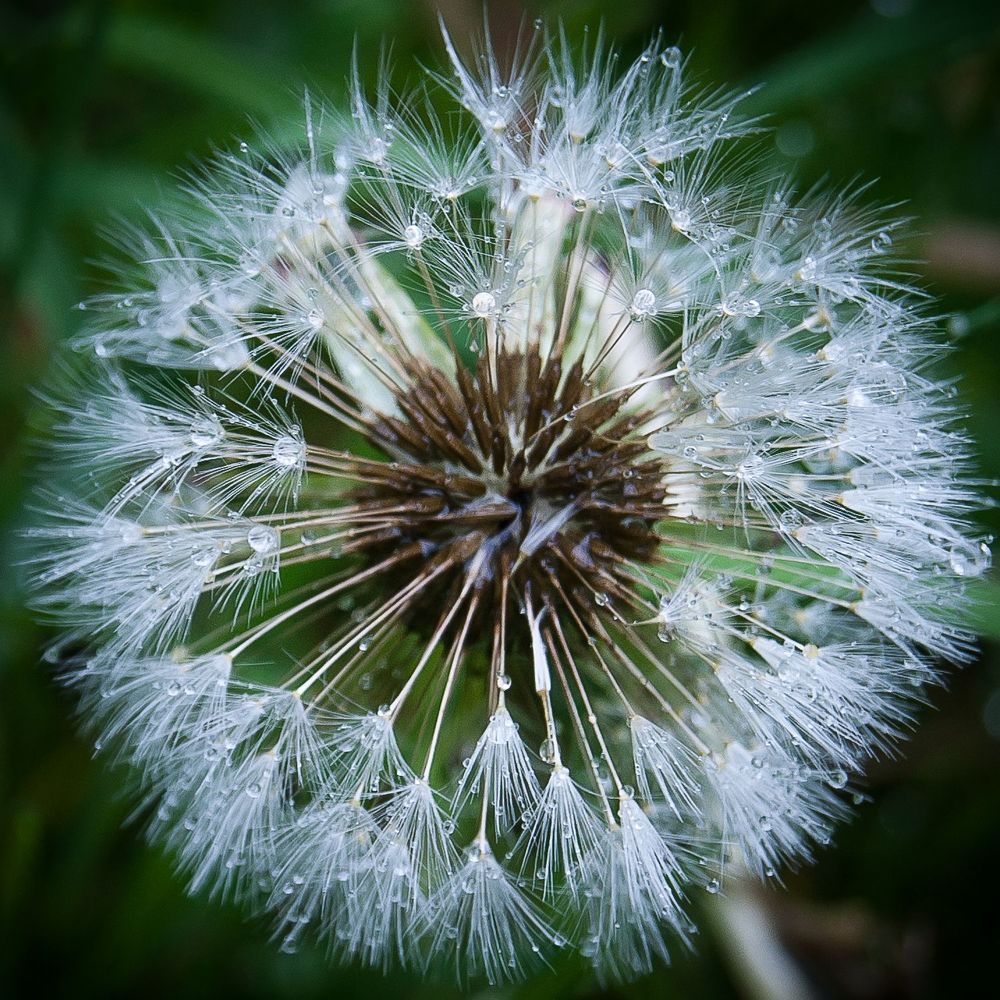 Фотография автора Владимир Ступинский