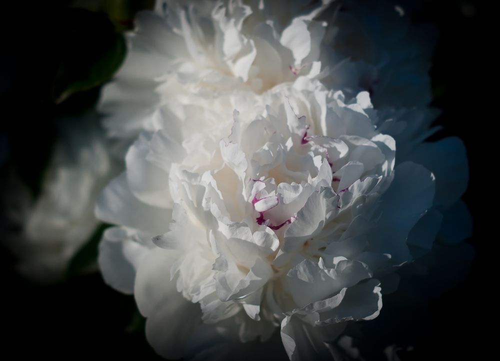 Фотография автора Владимир Ступинский