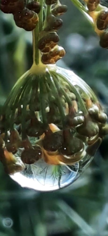 Photograph by Светлана Цапина