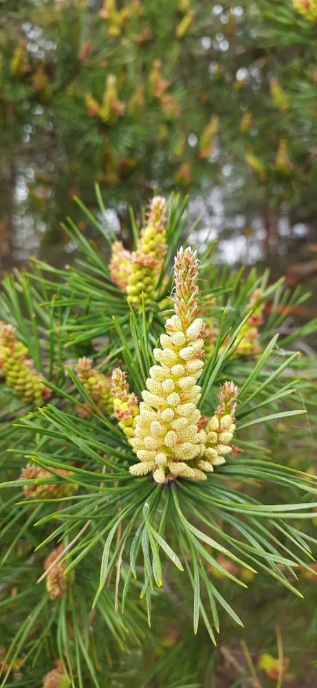 Photograph by Светлана Цапина