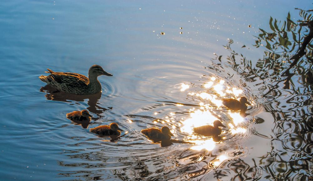 Photograph by Любовь Бусова