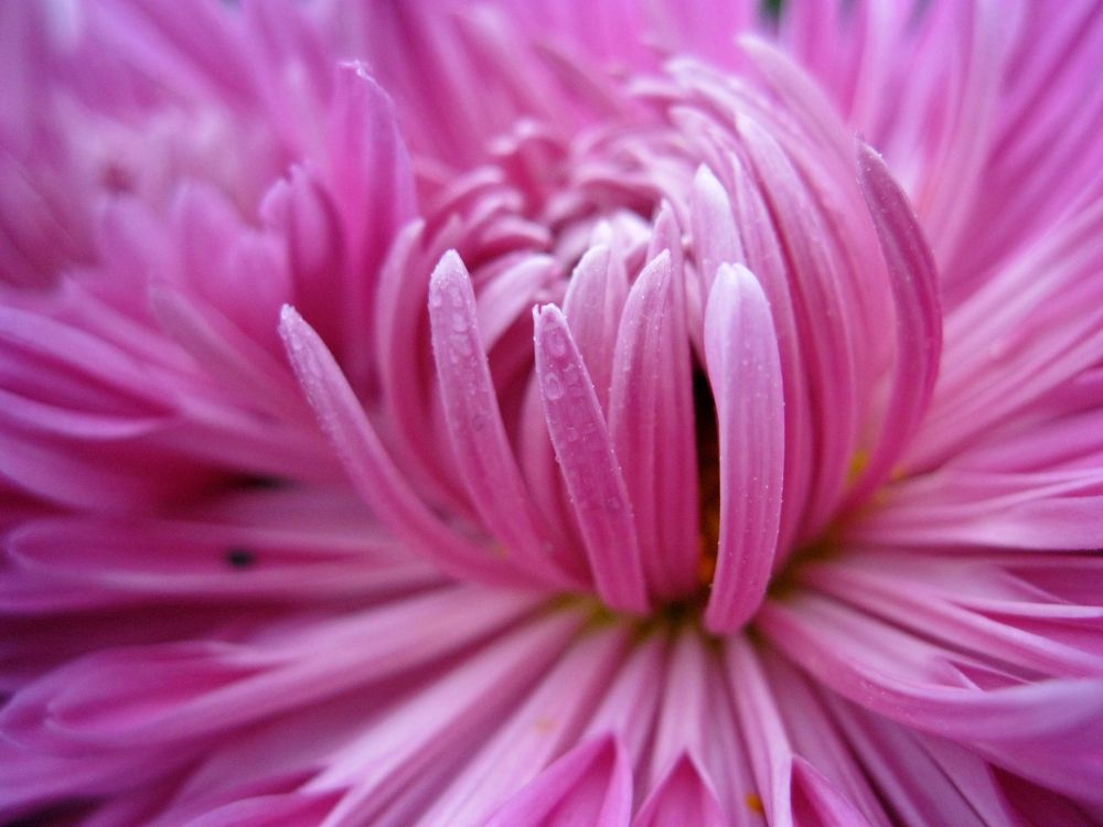 Photograph by Алёна Шкуратова