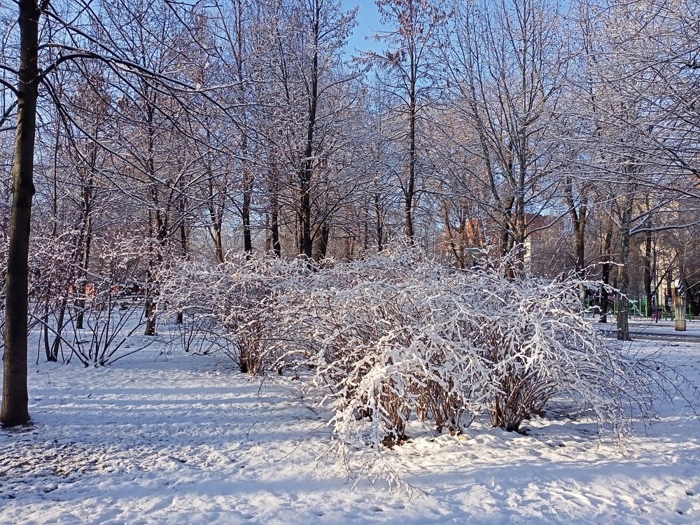 Photograph by Адамян Анна