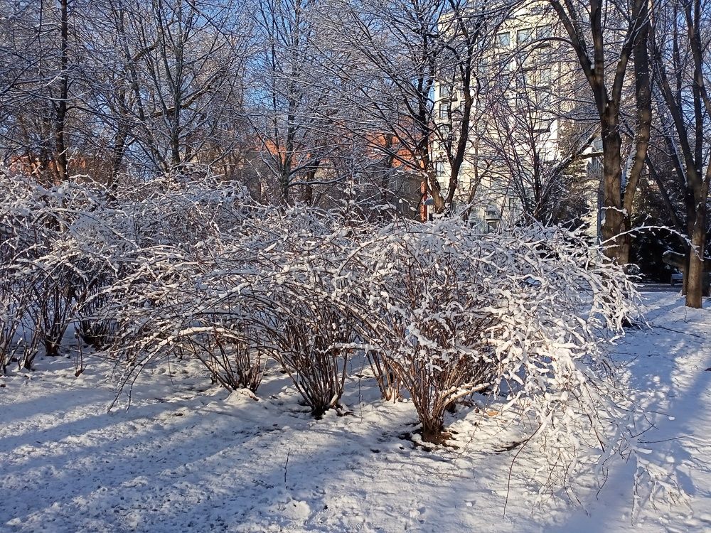 Photograph by Адамян Анна