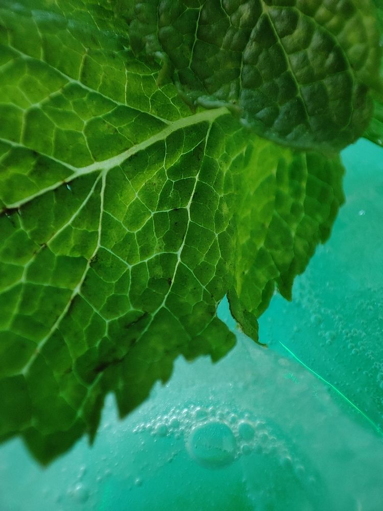 Photograph by Ирина Ри