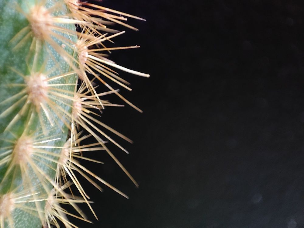 Photograph by Ирина Ри