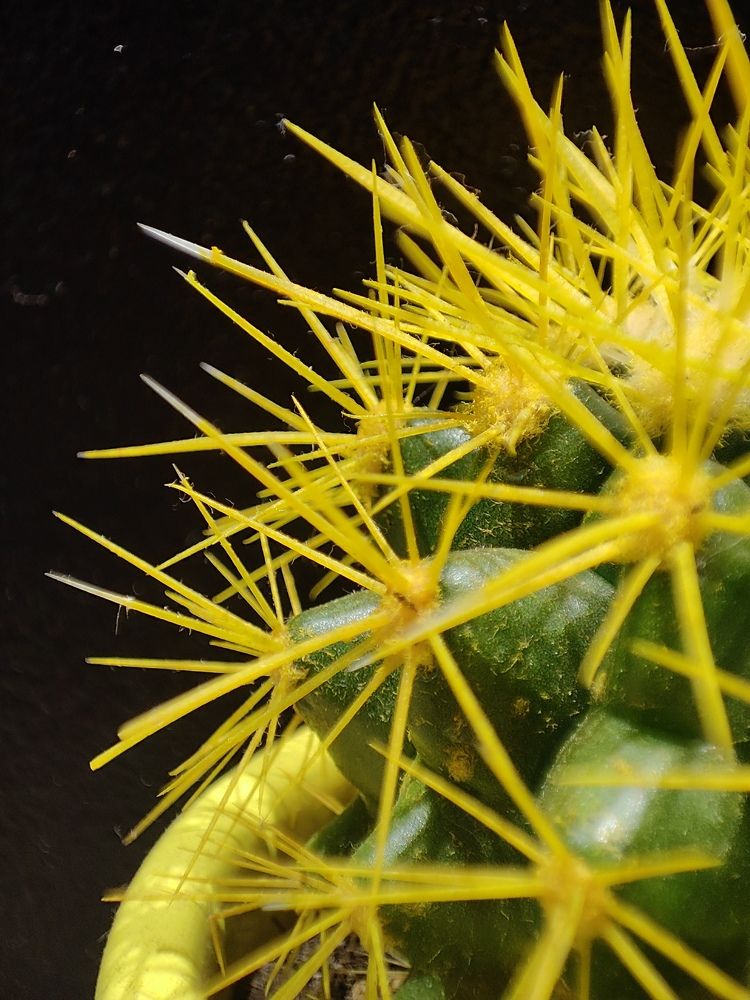 Photograph by Ирина Ри