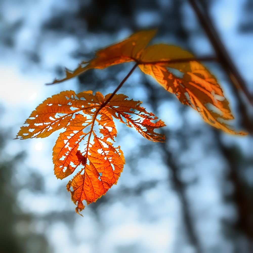Фотография автора Владимир Зубков