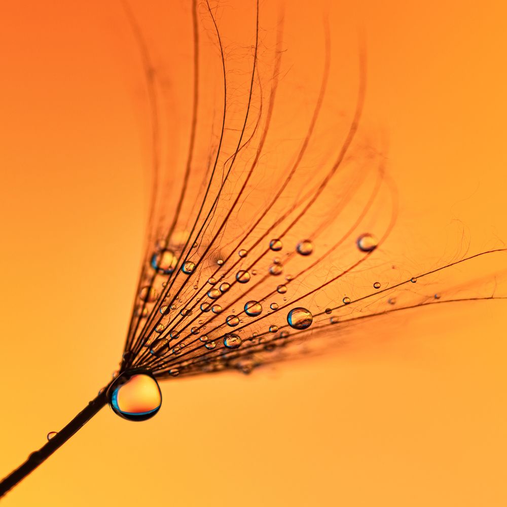 Photograph by Владимир Зубков