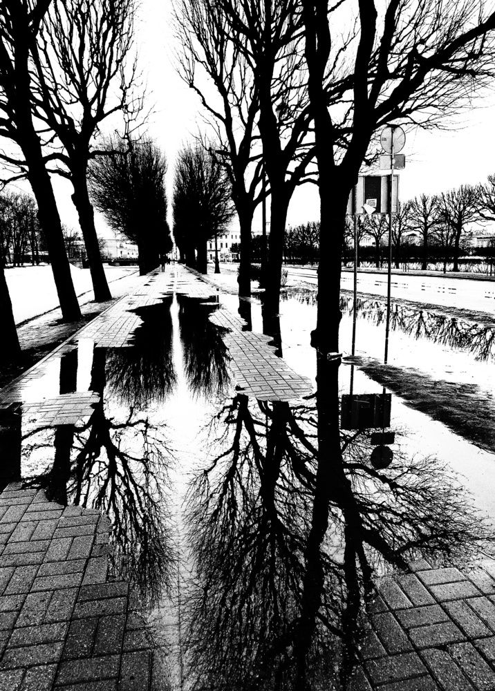 Фотография автора Дмитрий Антонов