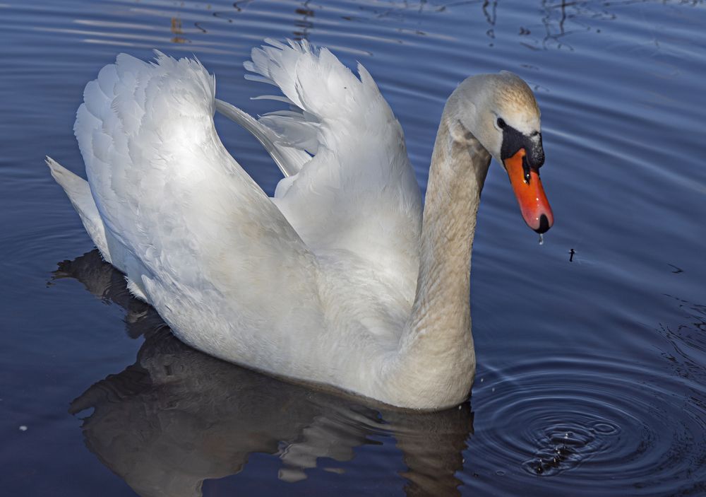 Photograph by Анна Васильева