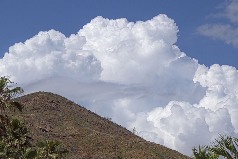 Photograph by Анна Васильева