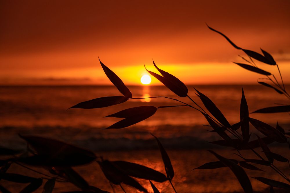 Photograph by Ольга Охорзина