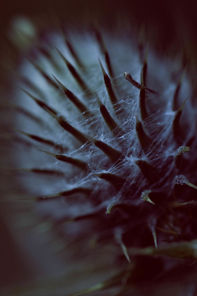 Photograph by Роланд