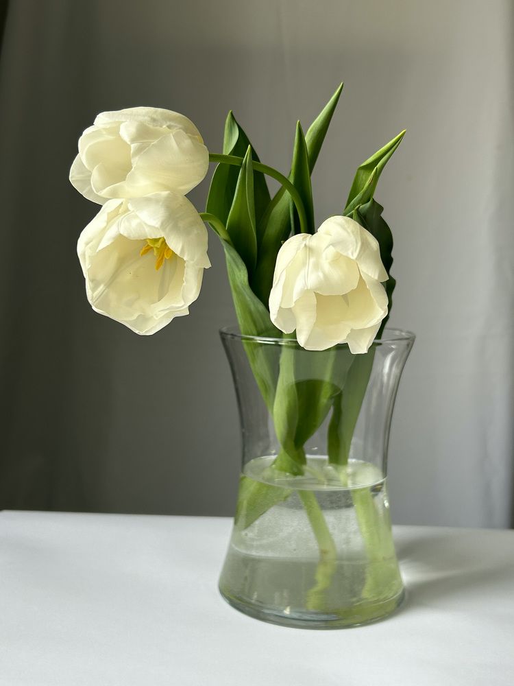 Фотография автора Ирина Якущенко