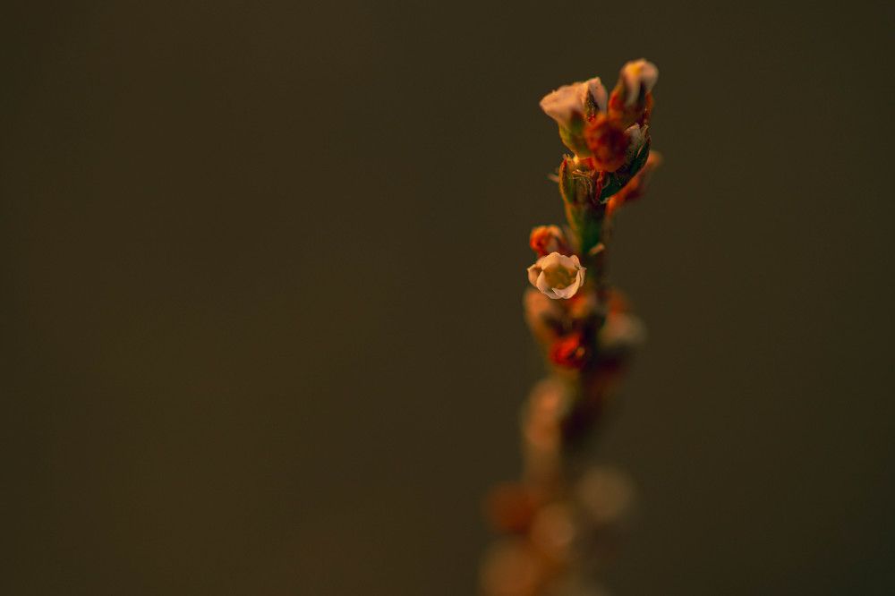 Photograph by Роланд