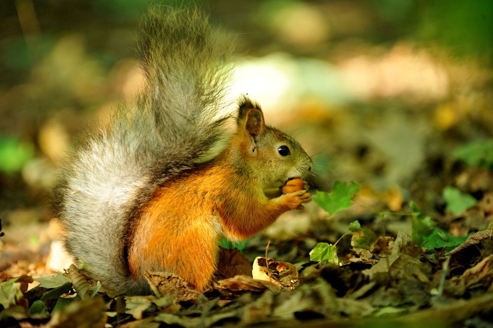 Photograph by Алексей Козлов