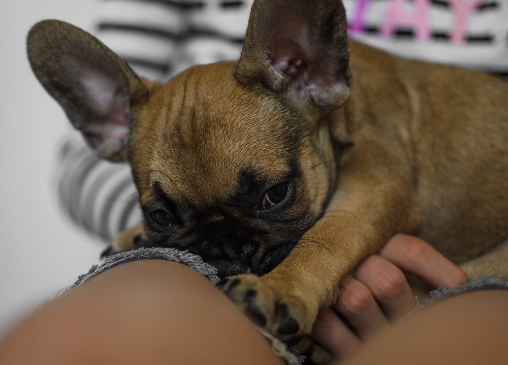 Photograph by Ганна Кліпіна