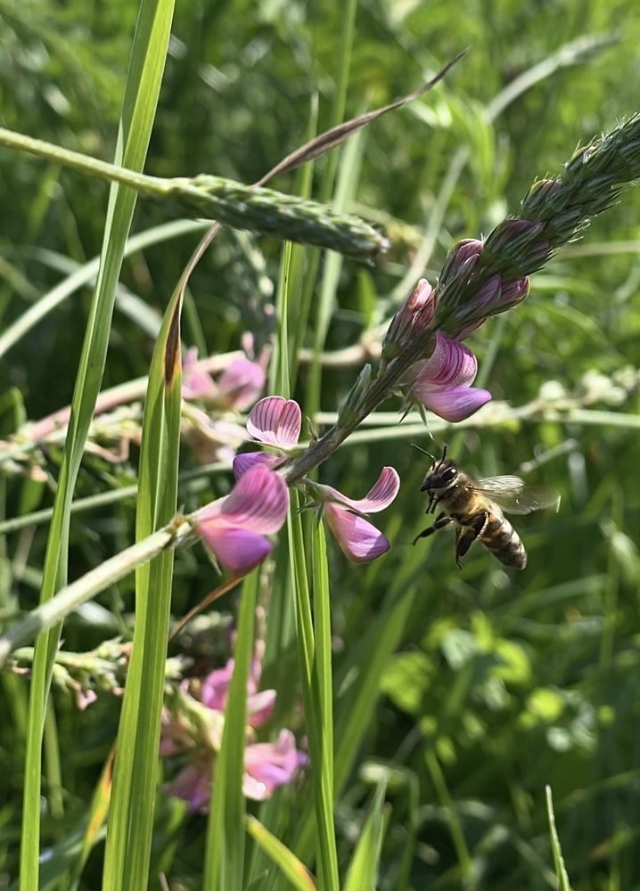 Photograph by Елена