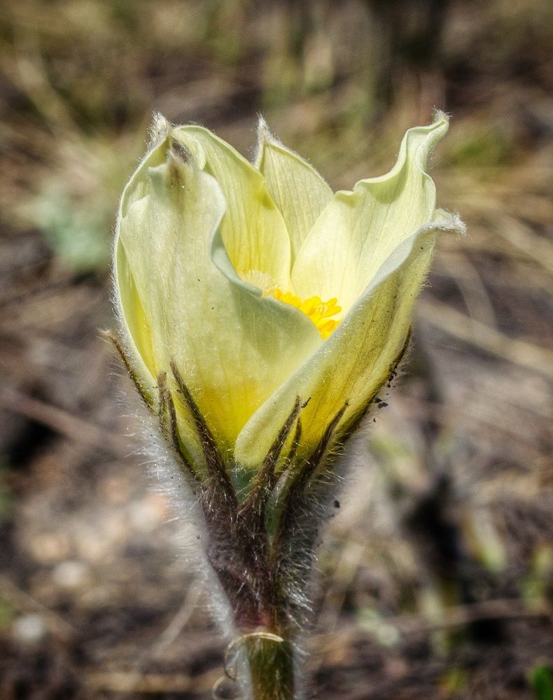 Photograph by Валерий Федяров