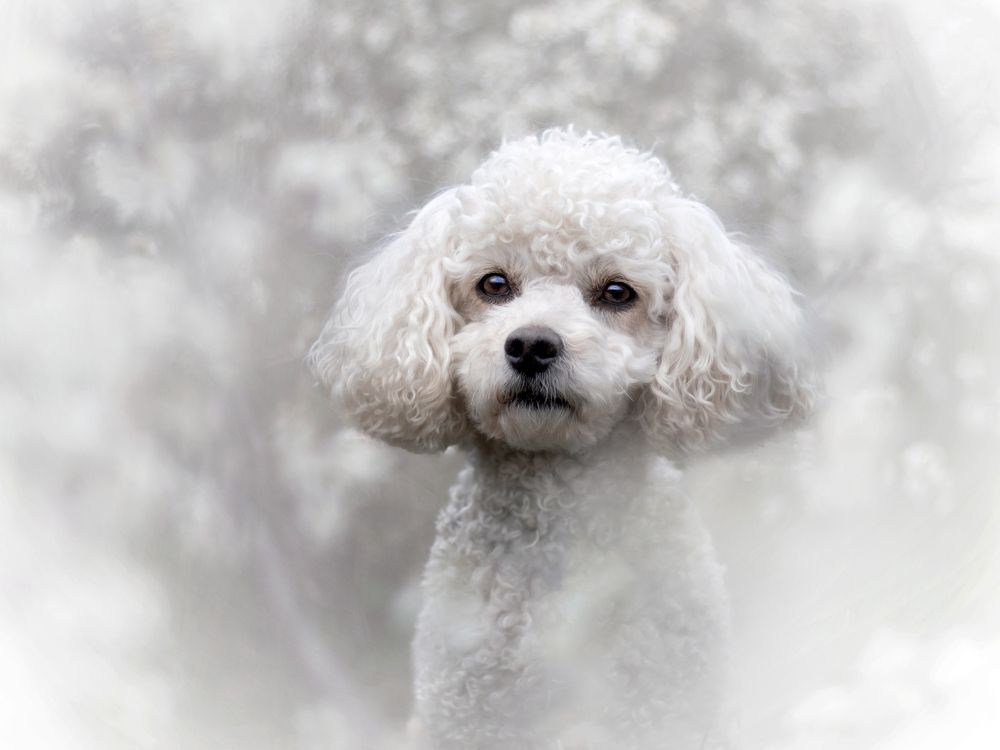 Photograph by Dorota Hnatová