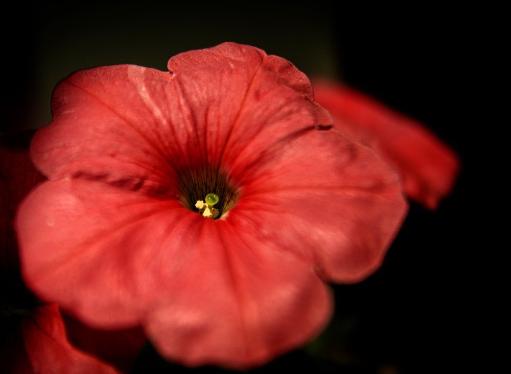 Photograph by Дмитрий