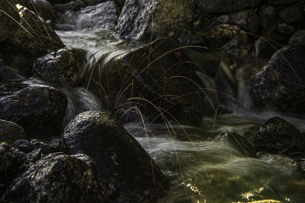 Photograph by Юрий Платухин