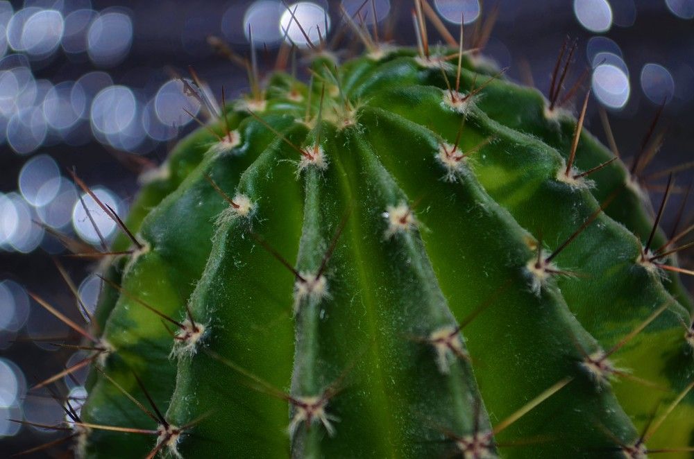 Photograph by Дмитрий