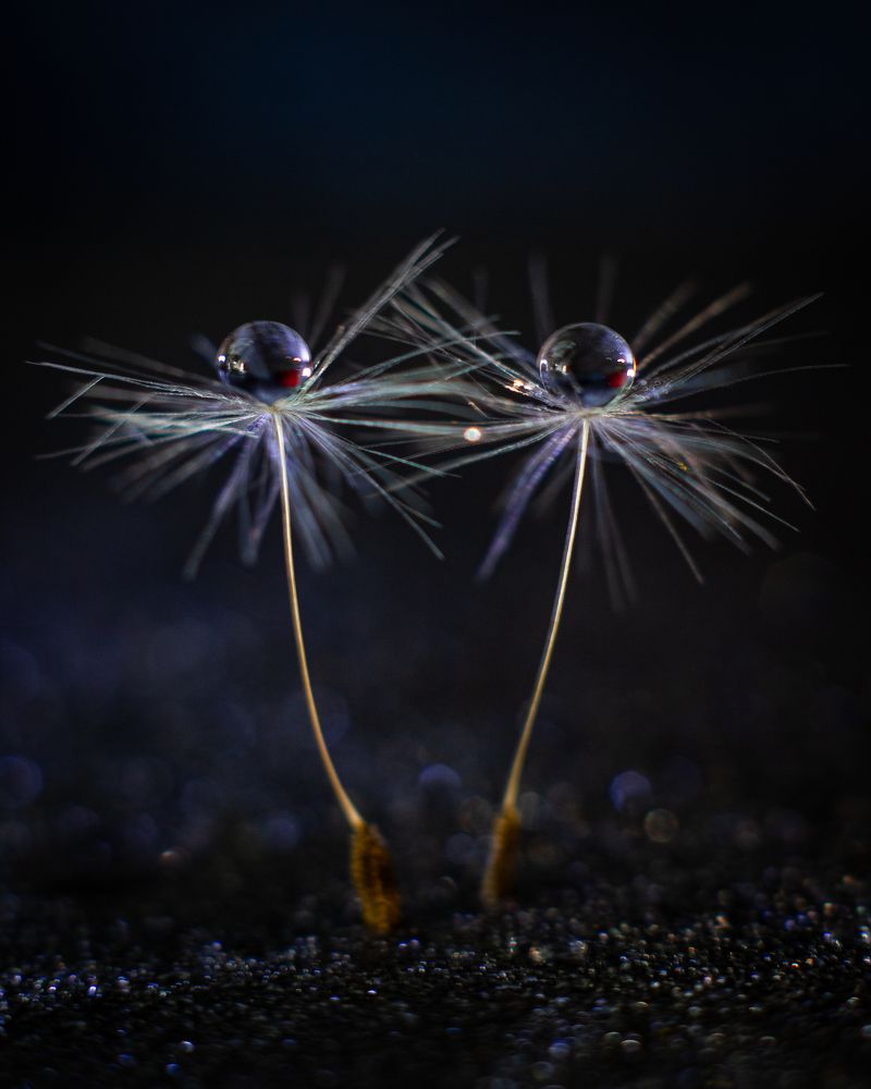 Photograph by Tatiana Grinko