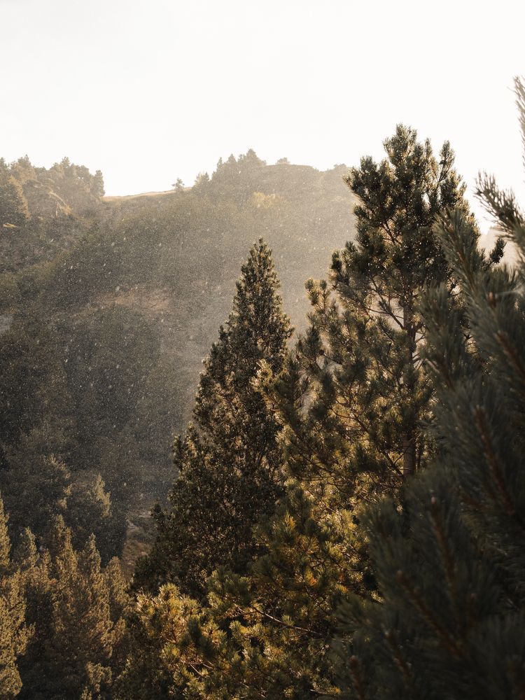 Photograph by sergio flores