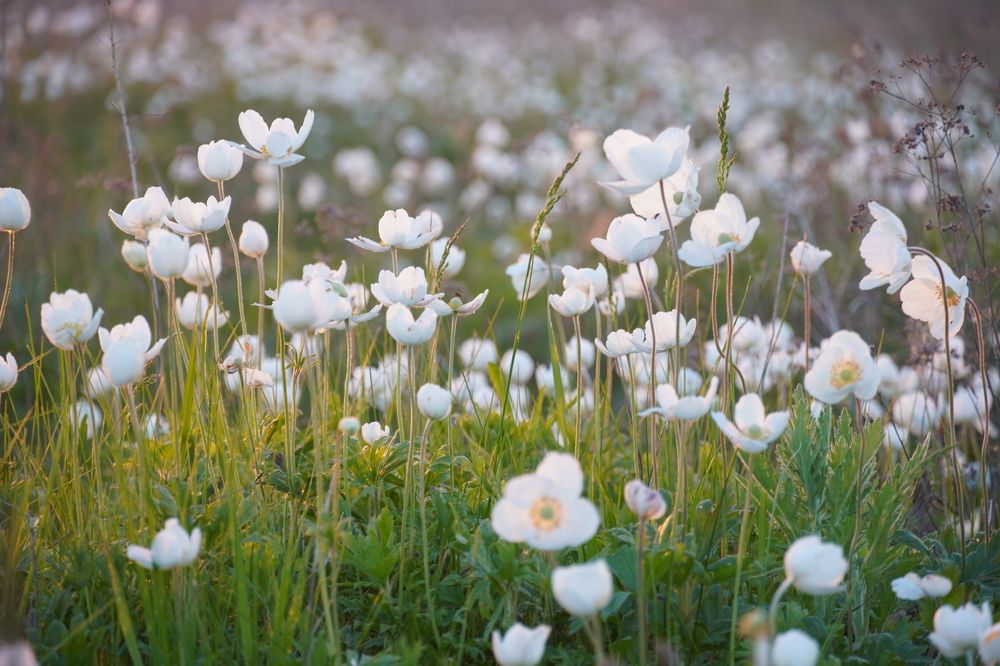 Photograph by Евгения