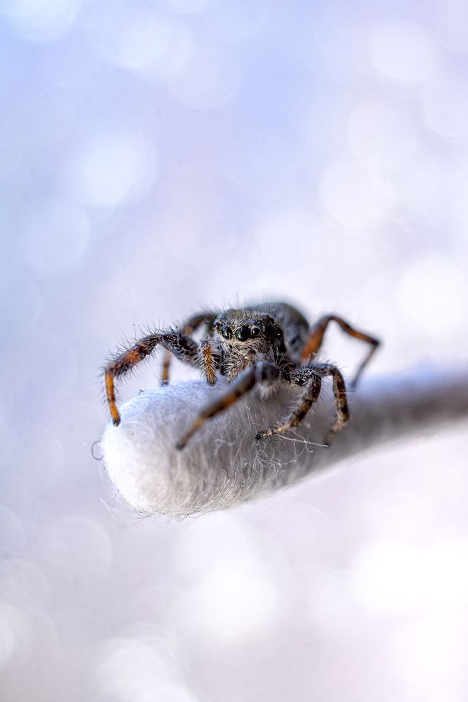 Photograph by Monika Cebula