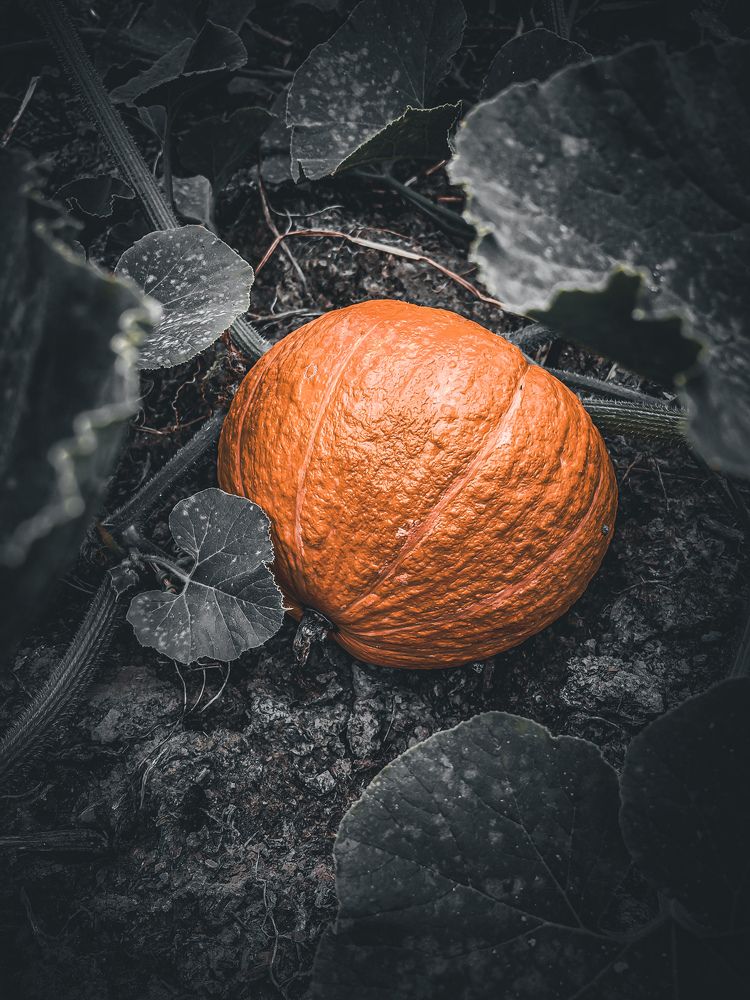 Photograph by Наташа Черепенина