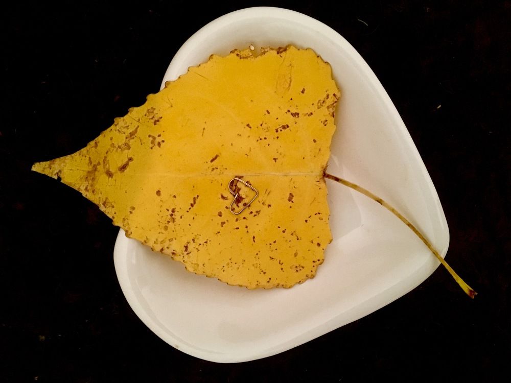 Photograph by Елена Ким