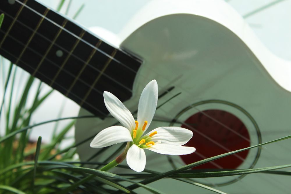 Photograph by Елена Сахарова