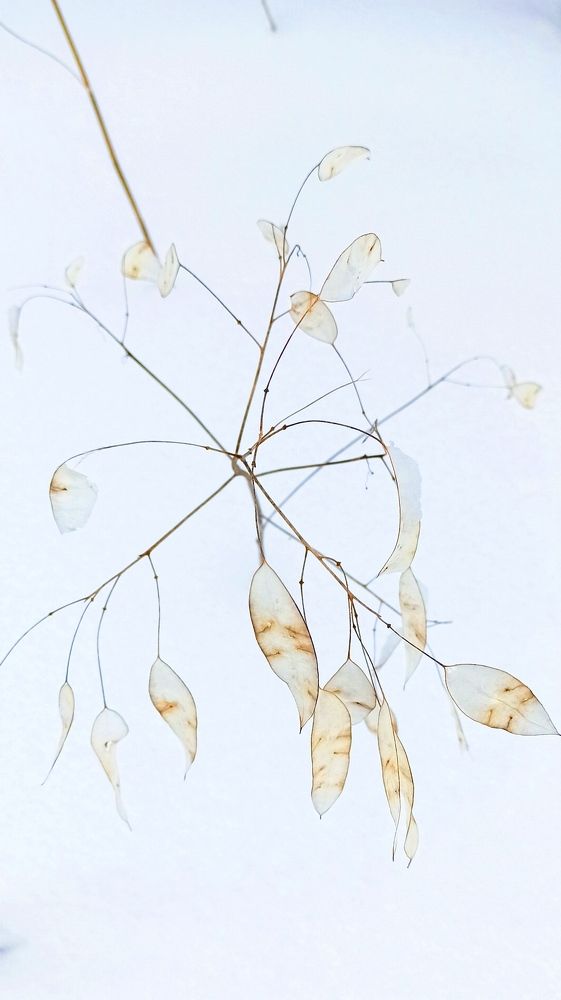 Photograph by AndreY SivkoV