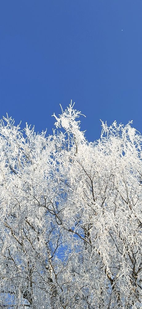 Photograph by AndreY SivkoV