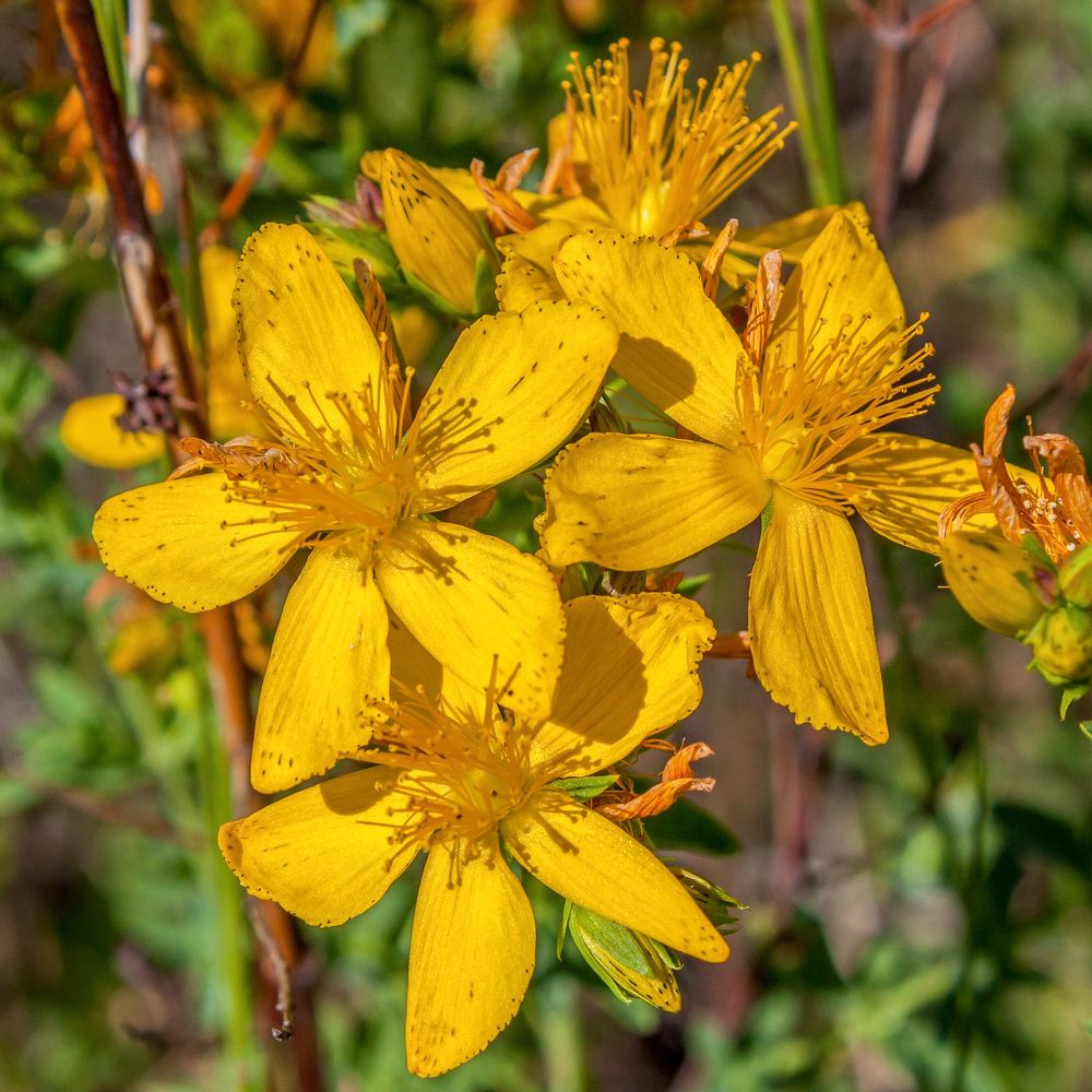 Photograph by Валерий Федяров