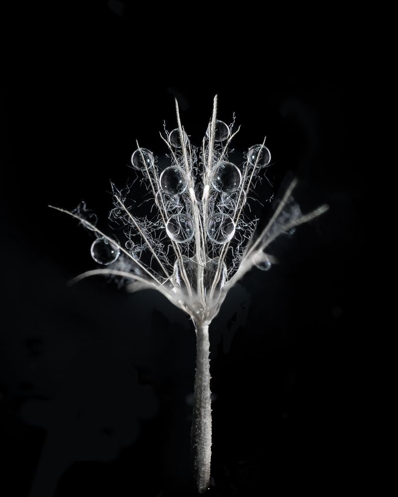 Photograph by T.Ю. Гринько