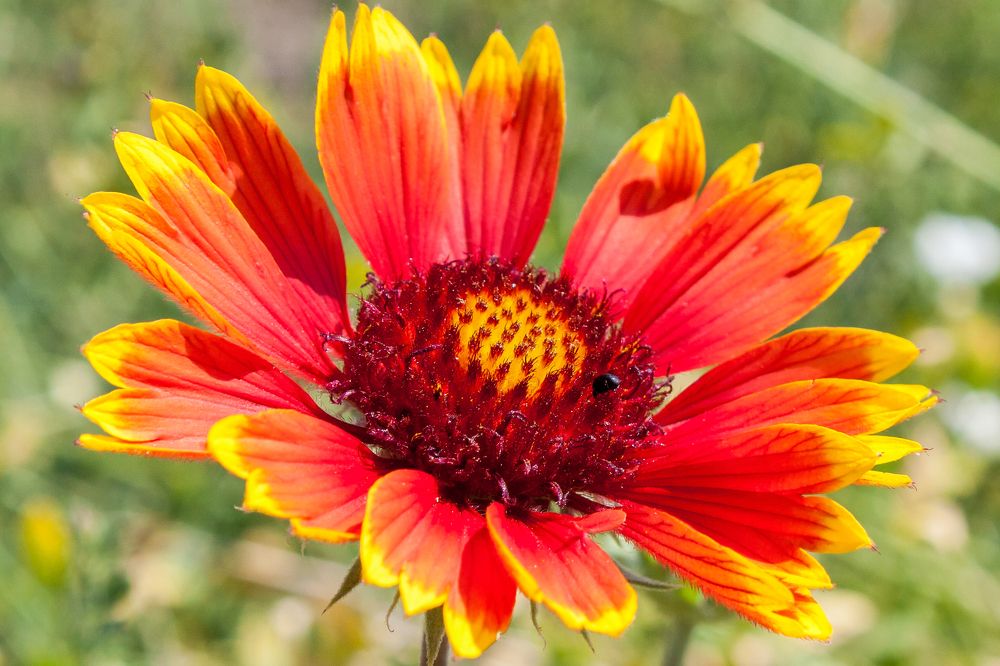 Photograph by Валерий Федяров