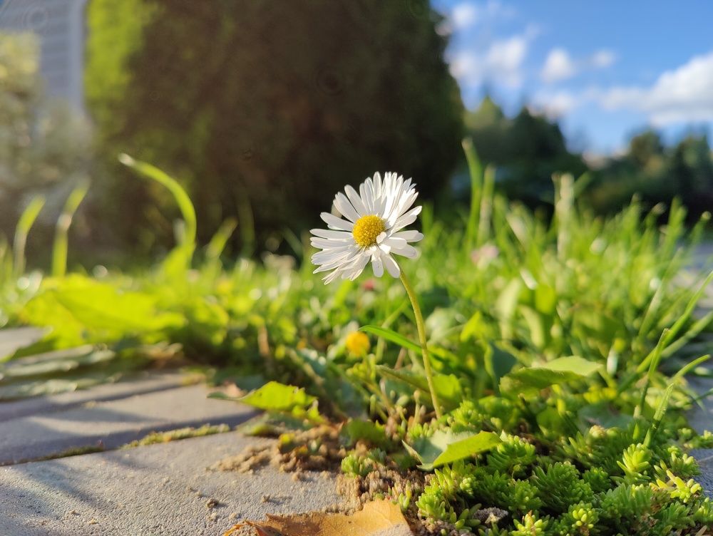 Photograph by Маслов Дмитрий